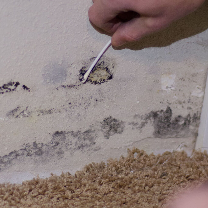 Home Mold Inspections and Indoor Air Quality Testing by Nordic Home Inspection